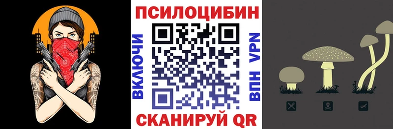 Галлюциногенные грибы мицелий  KRAKEN   Сосновка 